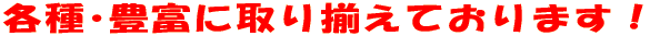 eLxɎ葵Ă܂I